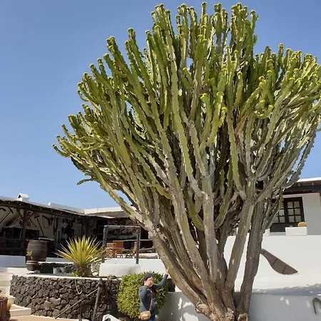 Casa Berriel 2 Tatil Evi