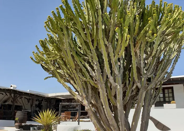 Casa Berriel 2 Hébergement de vacances